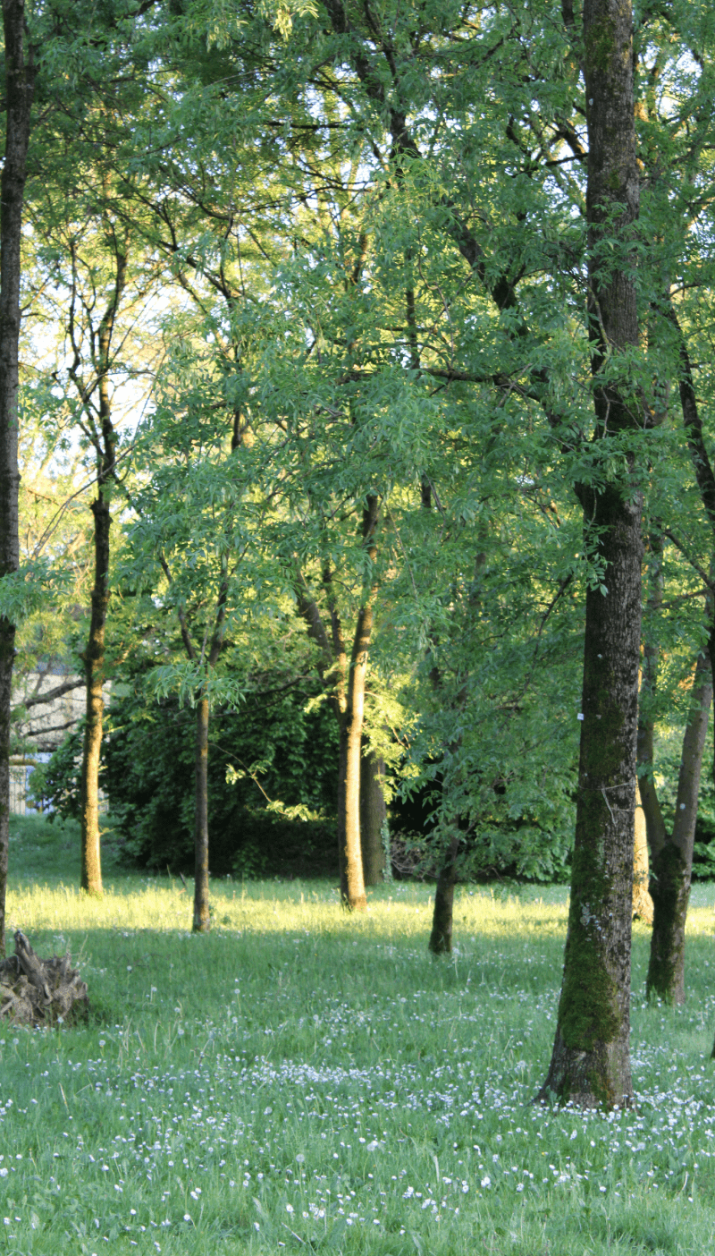SAS CRL Paysages Eymouthiers